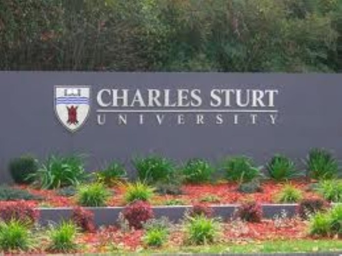 Charles Stur University